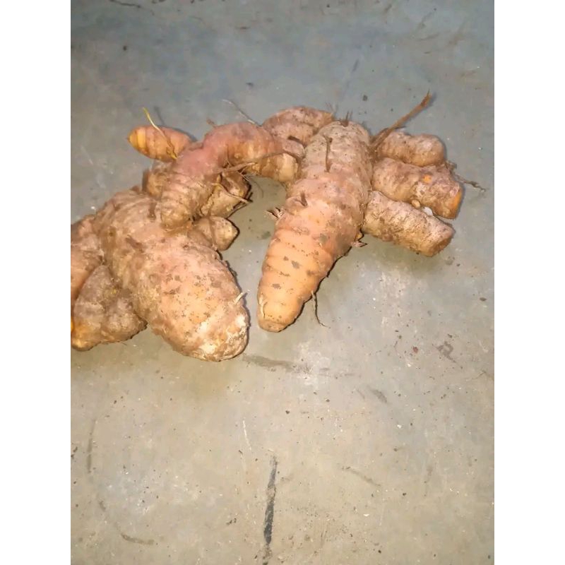 

Kunyit bumbu dapur fresh 500 gram