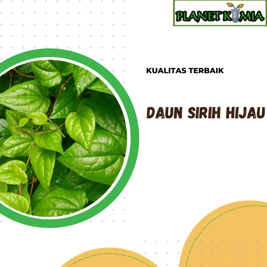 

dried,serbuk daun sirih hijau best product