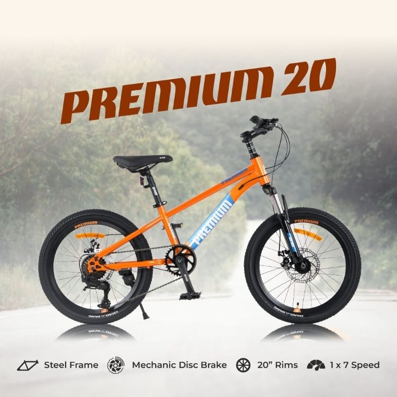 Sepeda Gunung Anak BNB MTB 20 inch Premium