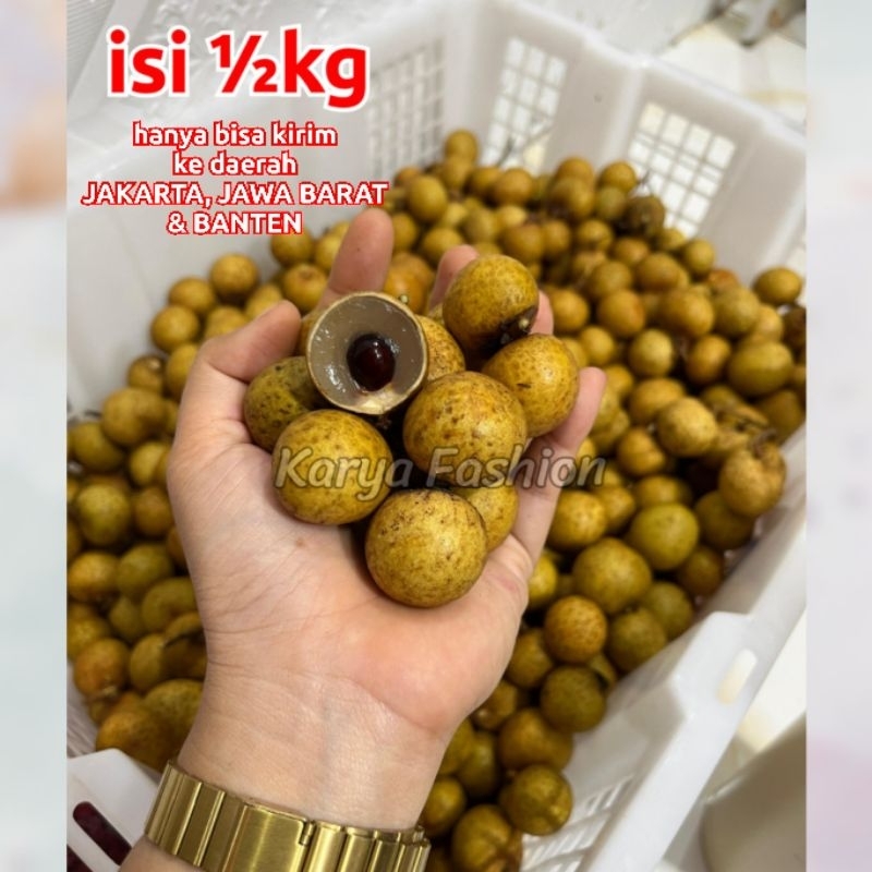 

Isi 500gr Lengkeng Kelengkeng Segar tanpa ranting