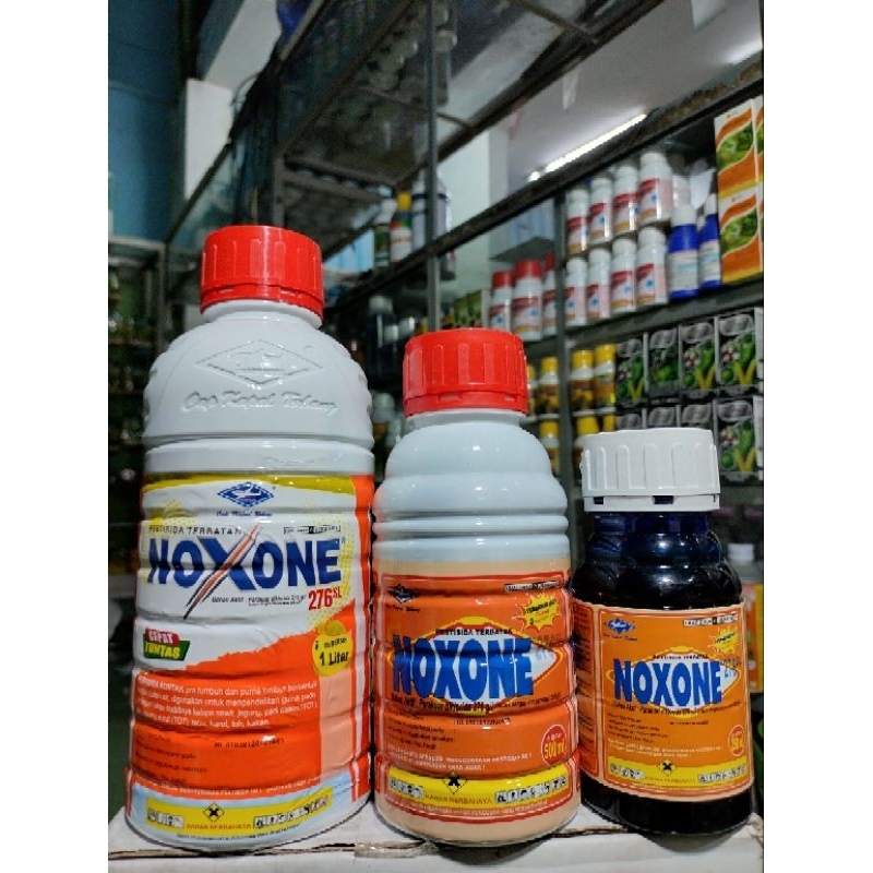 Noxone 276 SL Herbisida kontak racun rumput liar