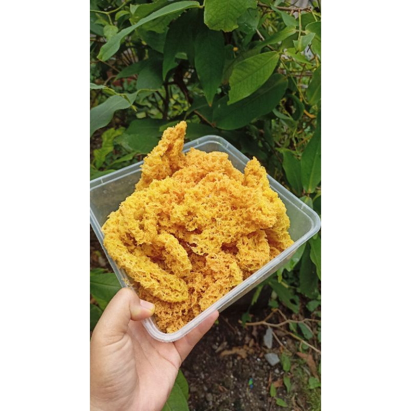 

Kremesan Ayam Murah Renyah Gurih