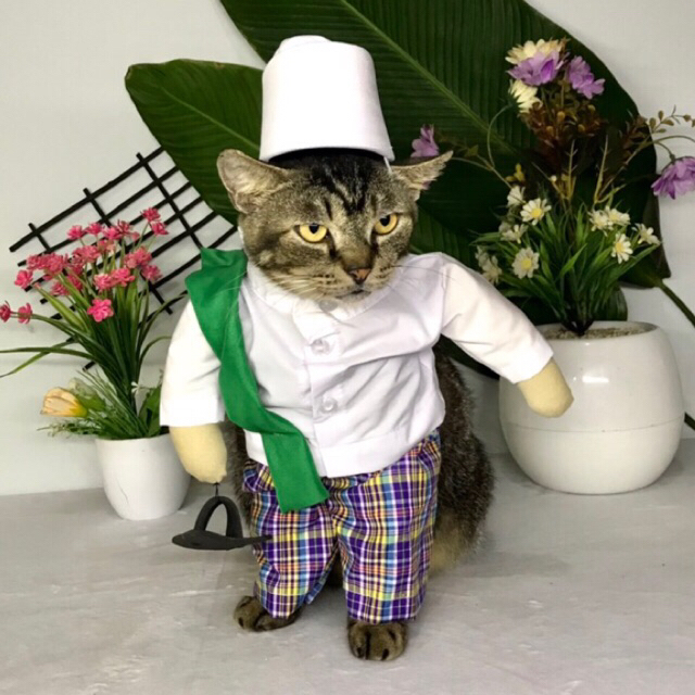 Marwa Mampir Terlaris Baju Kucing Viral Kostum Karakter Pak Haji + Sandal
