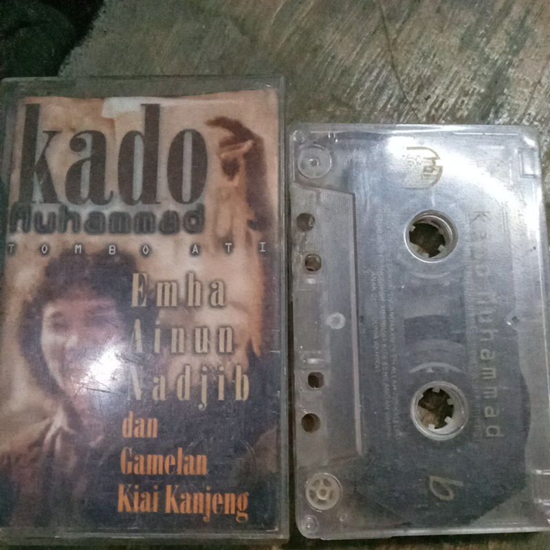 KASET PITA EMHA AINUN NAJIB 0118