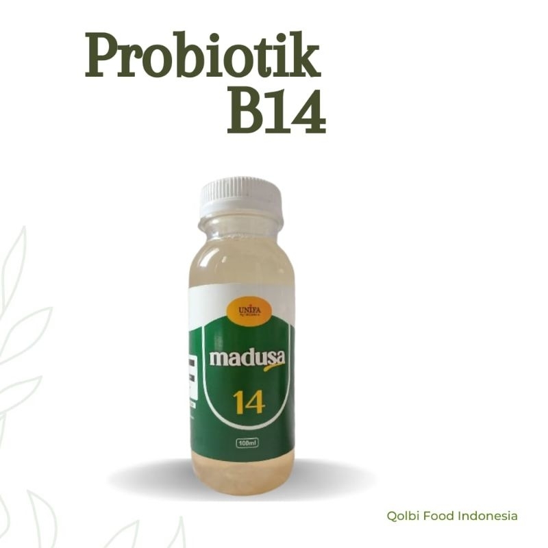 Probiotik B14 Solusi Untuk Pencegahan dari segala Penyakit