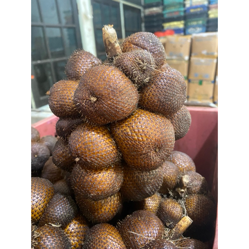 

salak gula pasir asli bali (5kg)