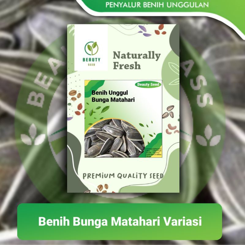 Benih Biji bunga Matahari - Variasi Biji Bunga Matahari isi 15