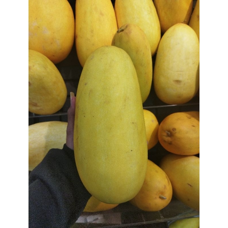 

Timun suri super fresh | pcs