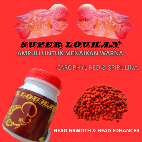 Super Louhan Ampu Untuk Menaiikan Warna Carophyl Red , Spirulina & Udang Head Grwoth Edenhcer