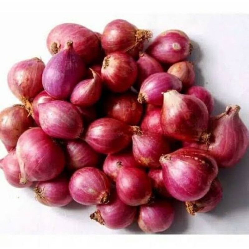 

Bawang Enrekang Ukuran Tengah Atas Cantik, Kering