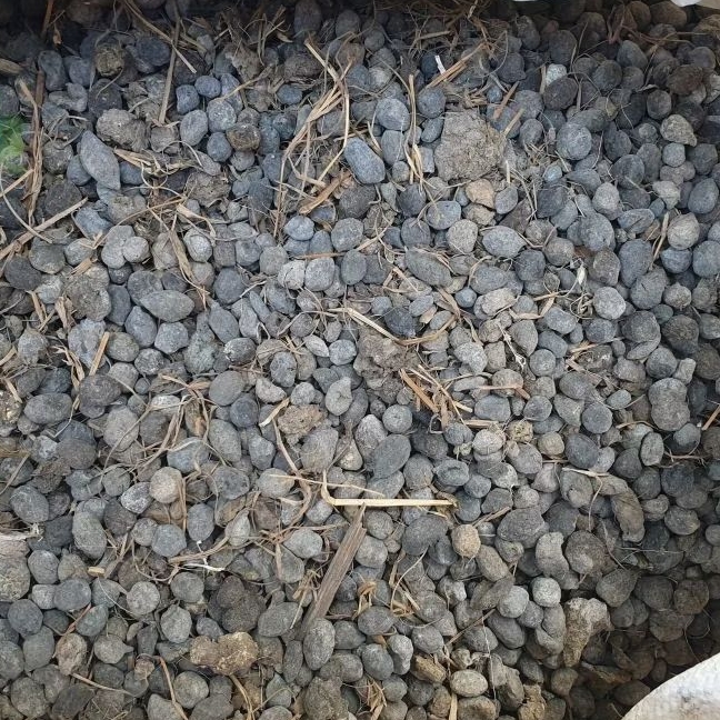 kohe kambing organik karung 10 kg