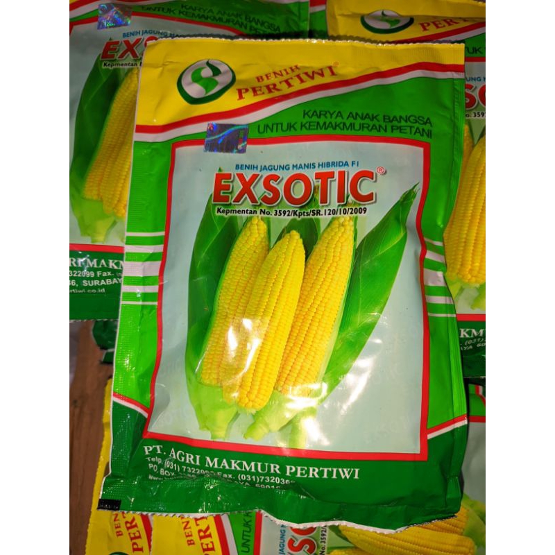 JAGUNG MANIS EXOTIC PERTIWI