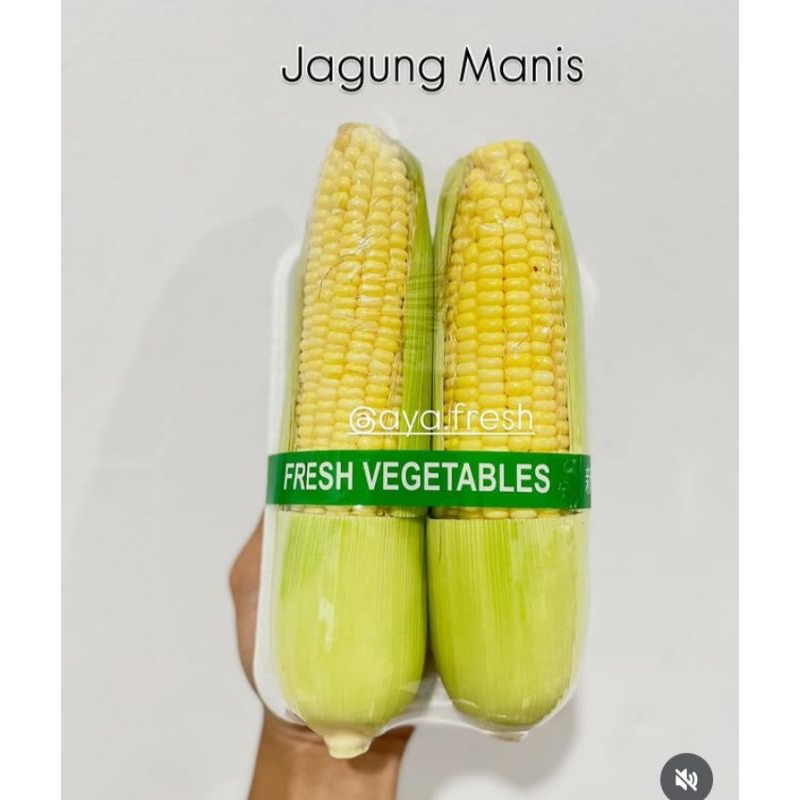 

SAYUR ORGANIK Jagung Manis Madu Kemasan 1 KG