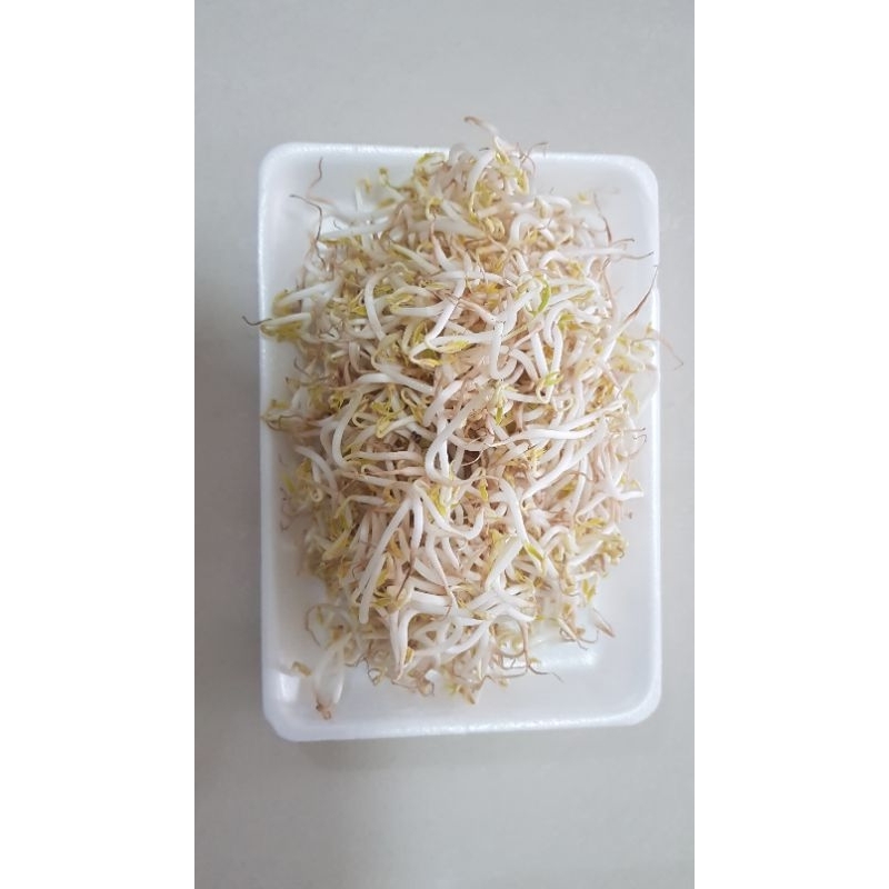 

Sayur Touge