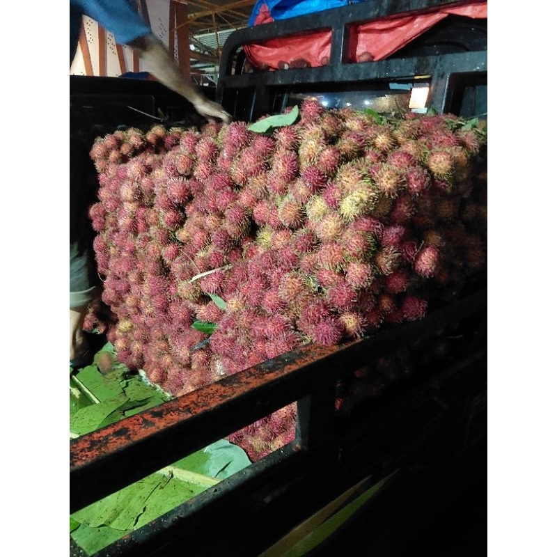 

buah rambutan buah segar manis