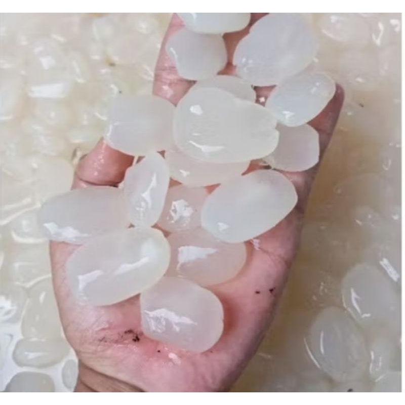 

buah aren muda / kulang kaling