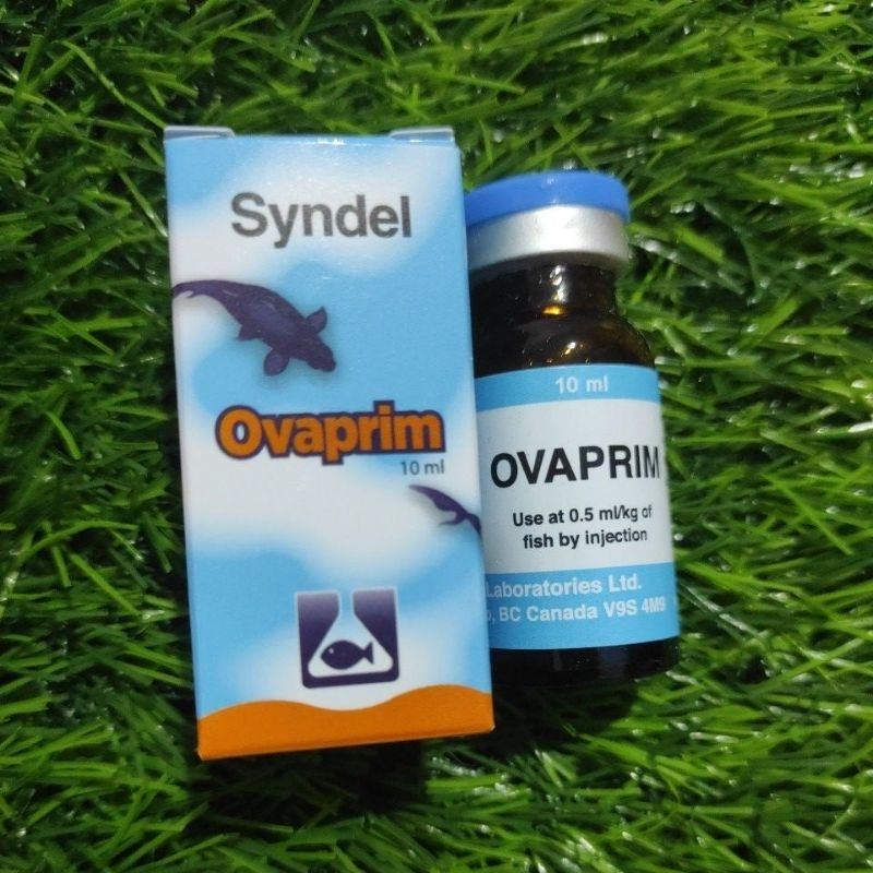 Ovaprim Ecer 1 ml Breeding Ikan mantab Original Syndel