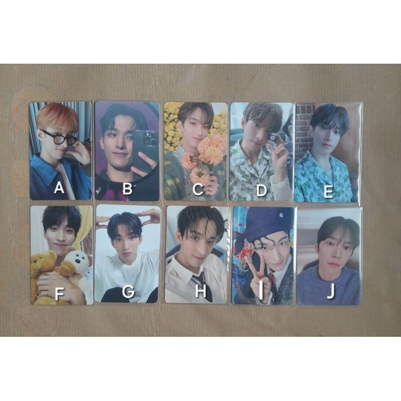 (JNT/JNE ONLY) pc photocard dk dokyeom teddy puppy mingyu tadashi its seventeen