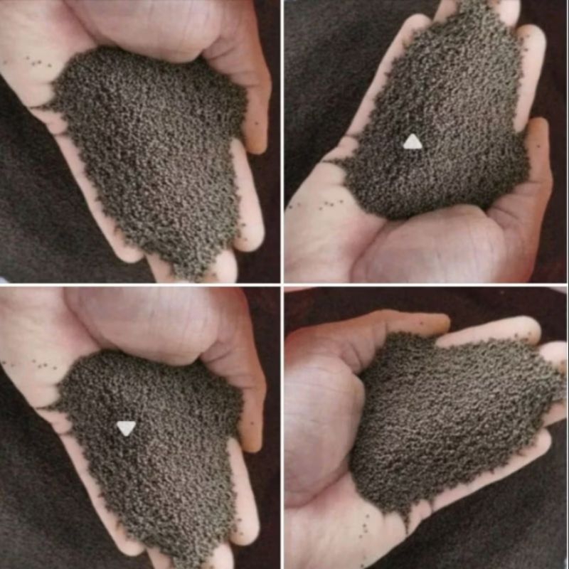 PELET PF 500 PAKAN IKAN CUPANG