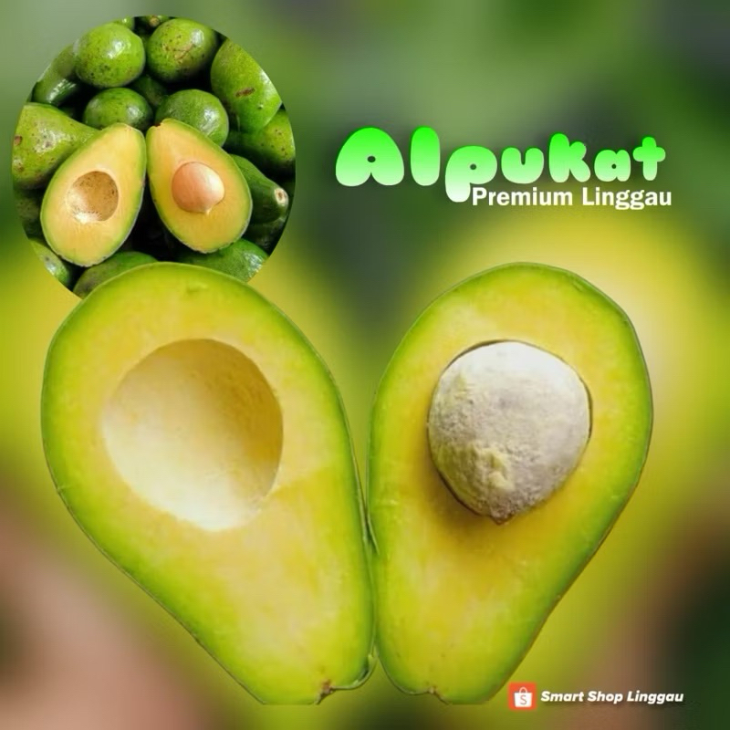 

Buah Alpukat, Pokad, Avokado Asli Linggau Curup Premium