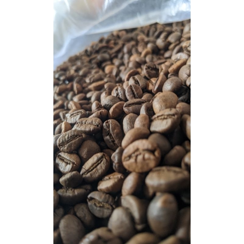 

kopi Pagaralam
