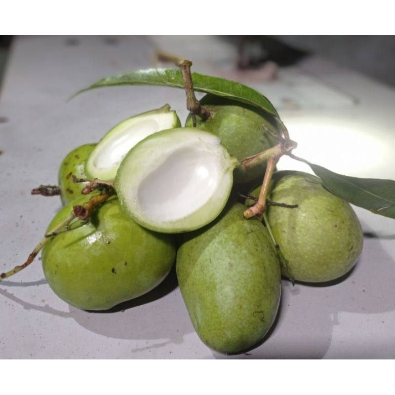 

mangga muda mini 1 kg pencit,tinggal belah,cocok buat rujakan