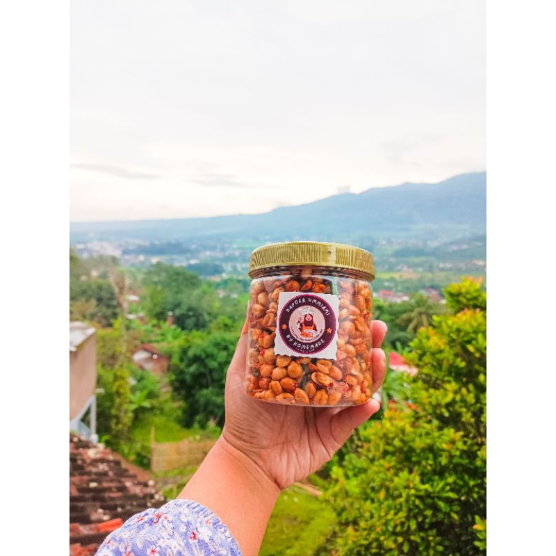 

KACANG TOJIN KACANG BAWANG ORIGINAL KACANG BAWANG PEDAS MANIS KEMASAN 500GR