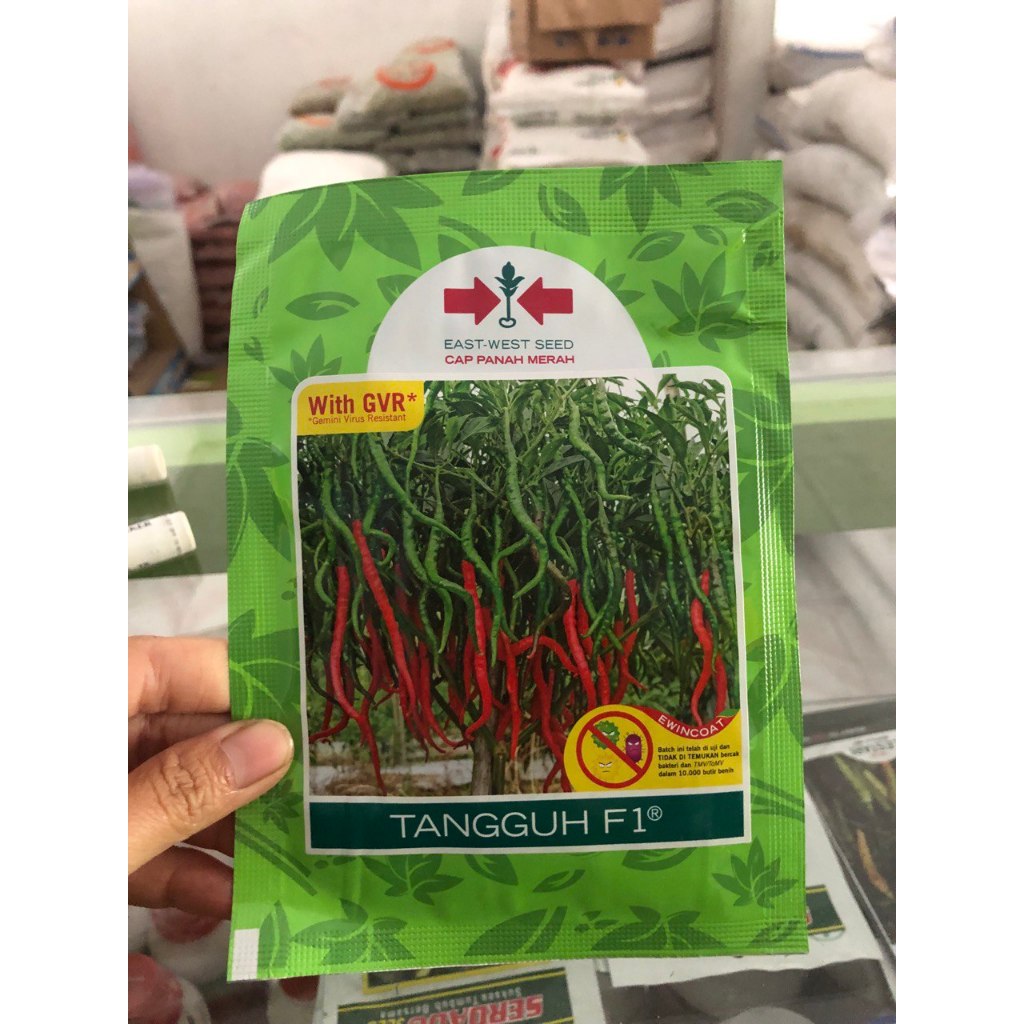 East-West Seed Cap Panah Merah Tangguh F1