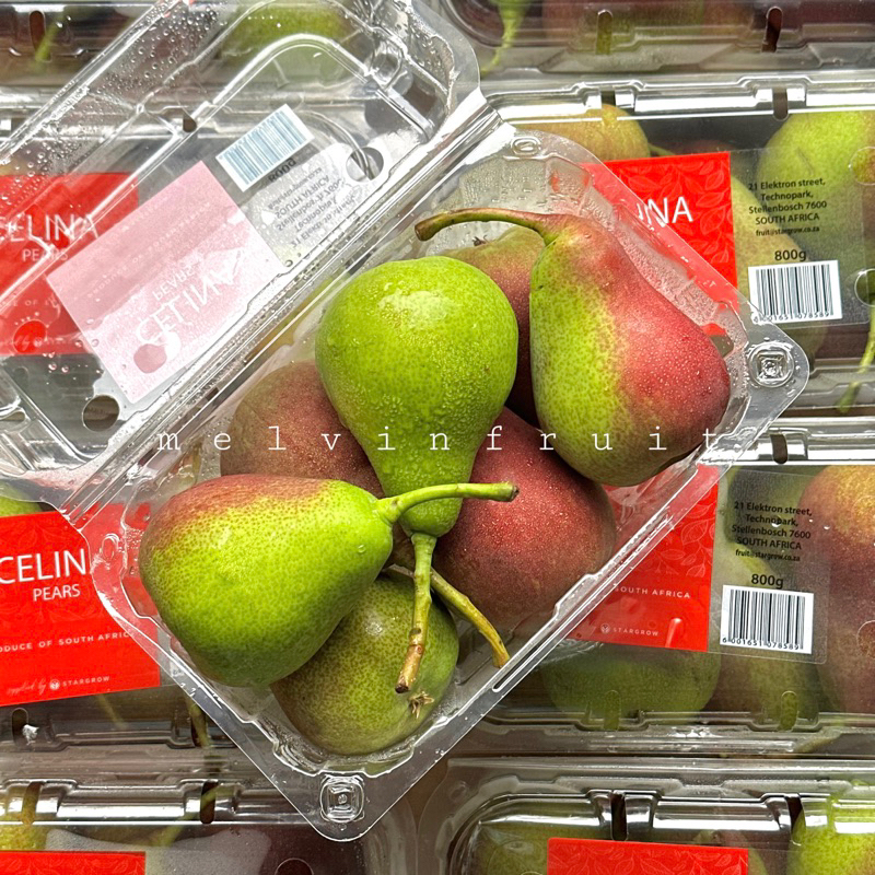 

Pear forelle Celina 800gr