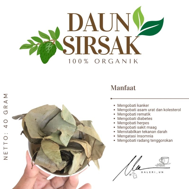 

DAUN SIRSAK