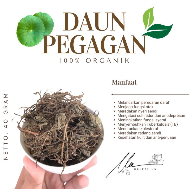 

Daun Pegagan