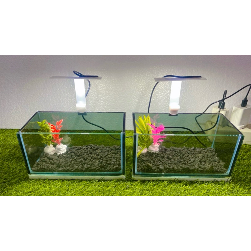 aquarium mini ukur 20.10.10 kaca 5mm riben depan bening/aquarium guppy/aquarium cupang/soliter cupan