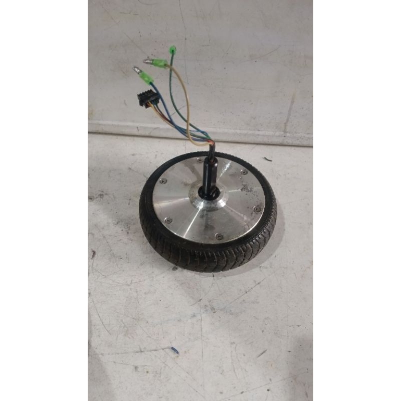 Generator pembangkit listrik BLDC 36V