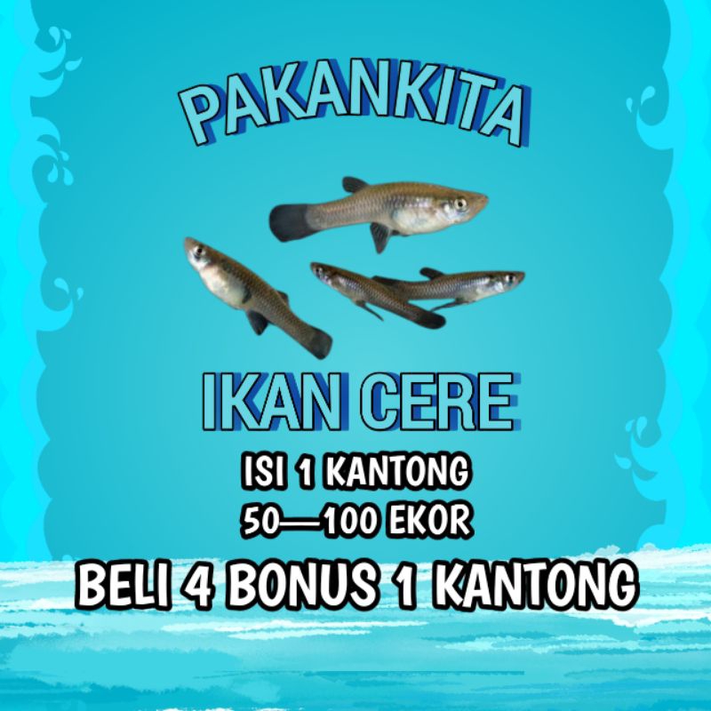 PAKAN IKAN - Ikan Cere Hidup