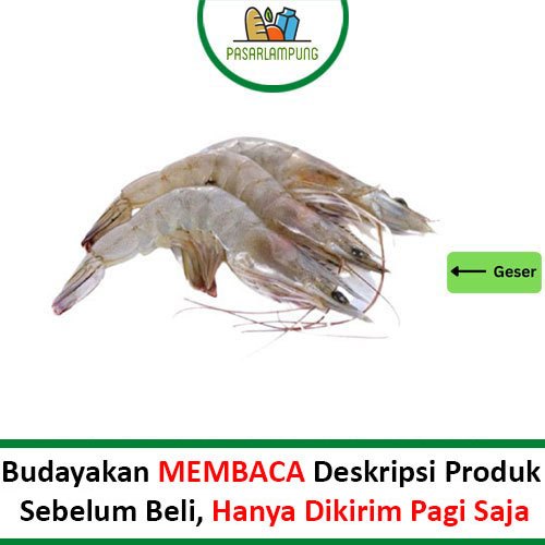 

Udang Segar Pasar Lampung