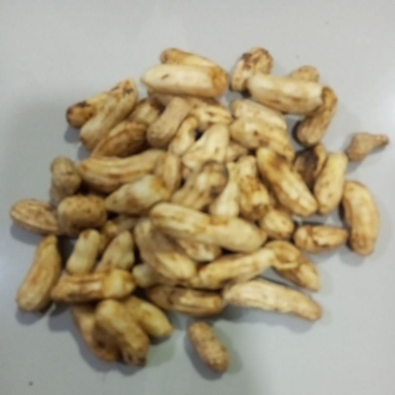 

Kacang suuk kacang kulit mentah