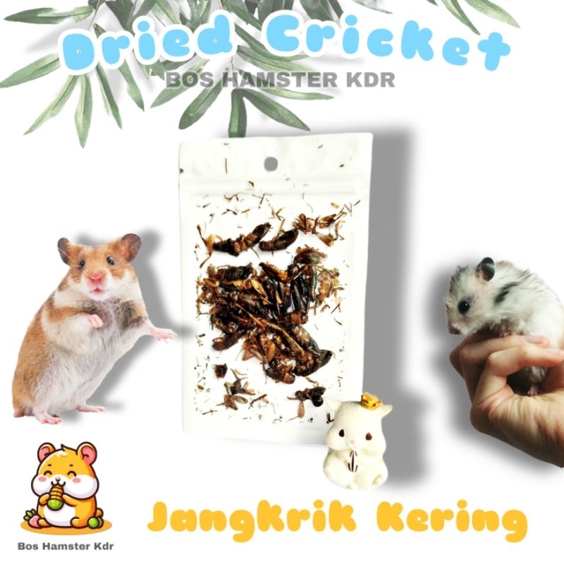Snack Hamster Jangkrik Kering