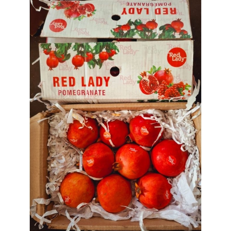 

Delima Import Fresh 1box