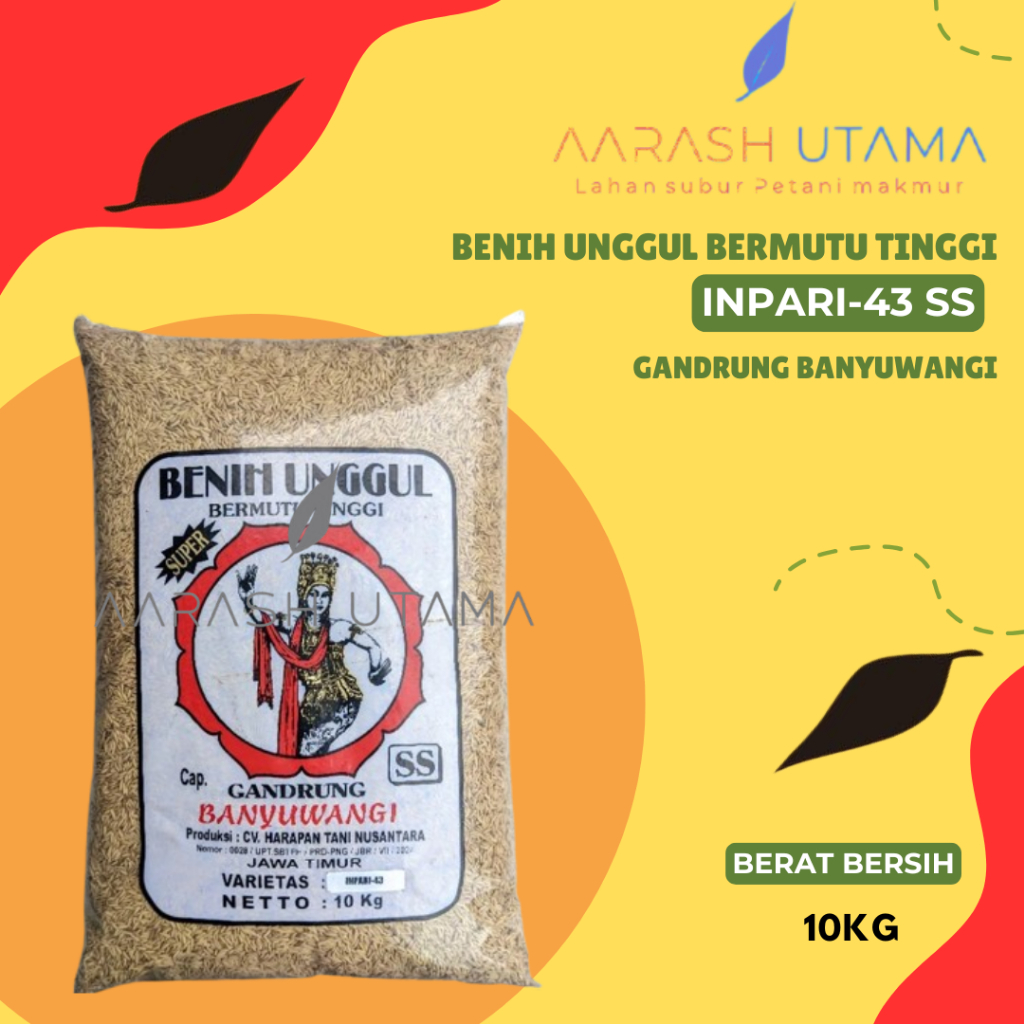 Benih Padi INPARI 43-SS GANDRUNG BWI / 10KG