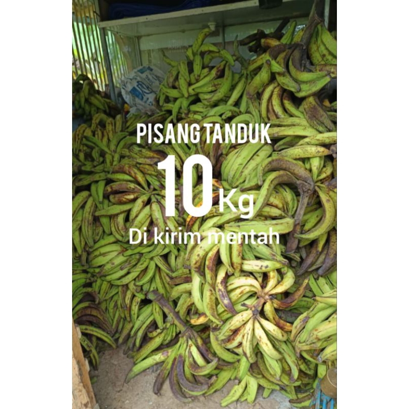 

PISANG TANDUK MADU SUPER 10kg