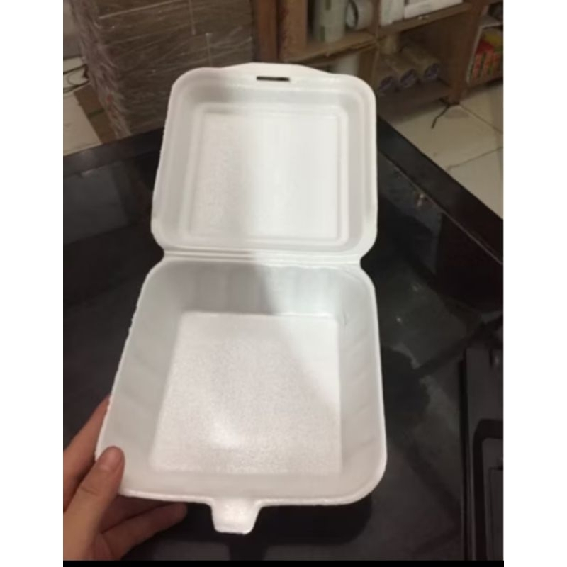 + isi 100pcs sterofoam sterofom styrofoam styrofom FOAM fom box kotak gabus tempat nasi h...