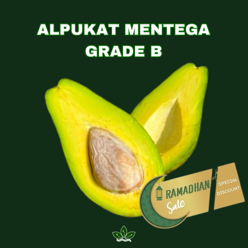 

PROMO ALPUKAT PLUWANG / MENTEGA (GRADE B) imperfect (kulit tidak mulus) 1 kg GARANSI . Alpukat pluwang, Alpukat pangeran