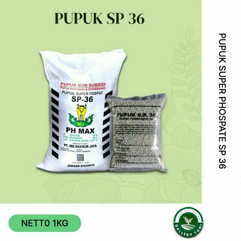 pupuk sp36 super phosfat kemasan 1kg