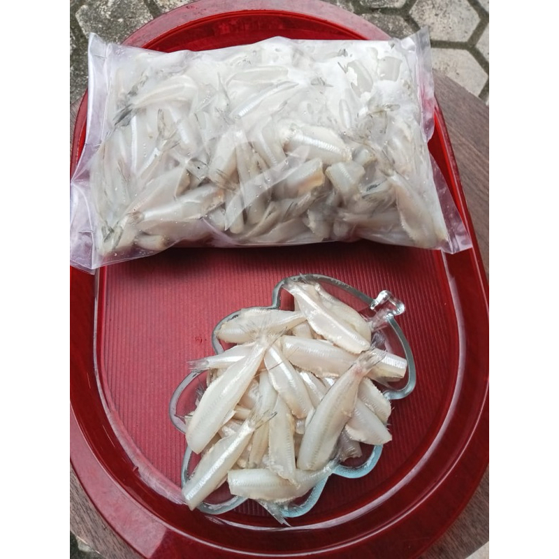 

Teri gunting segar berat 1kg