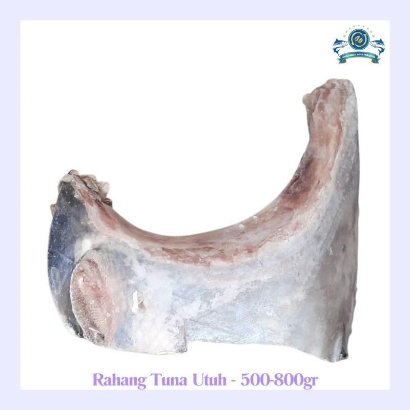 

Frozen rahang tuna utuh 500 - 800 gram
