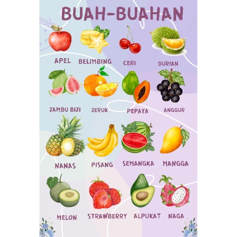 3 Poster edukatif l Poster Buah I Poster Hewan laut l Poster Hewan darat I Ukuran A3 Plus (32x48)