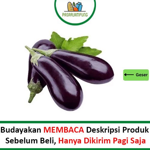 

Terong Ungu Segar Pasar Lampung