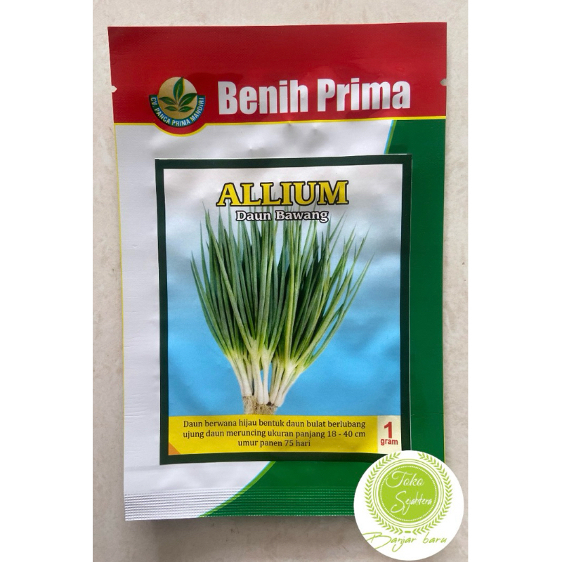 BENIH BIBIT DAUN BAWANG ALLIUM 1 GRAM BENIH PRIMA