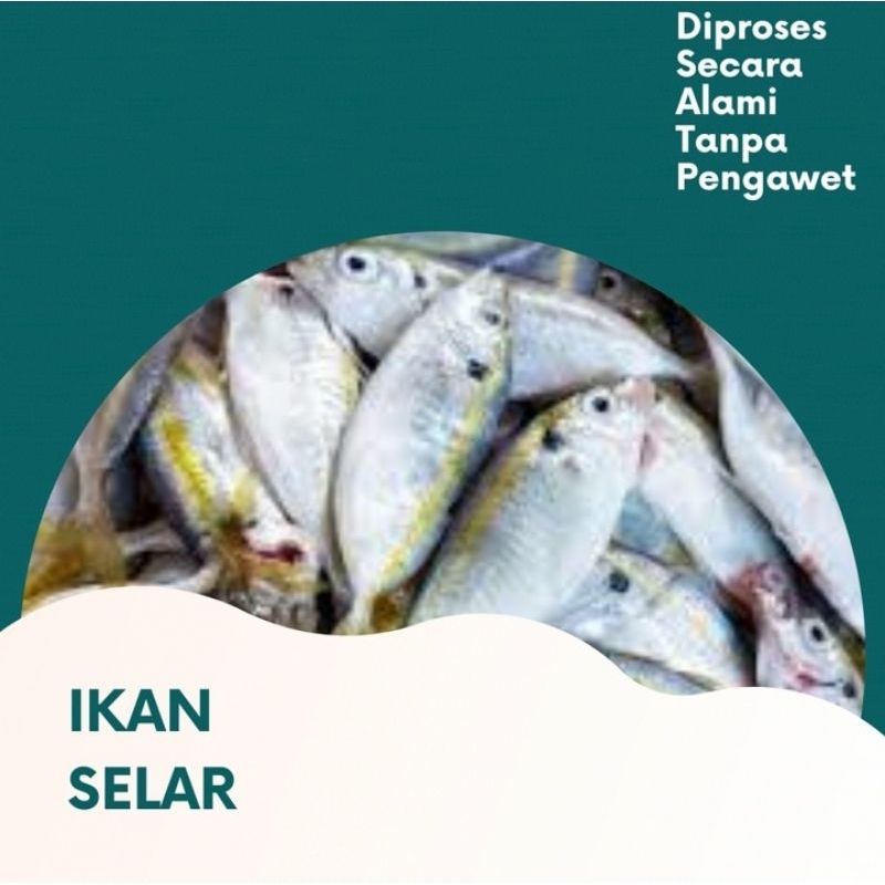 

IKAN SELAR 250GR