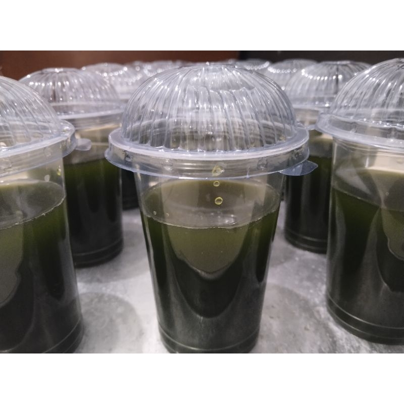 

Cincau Organic